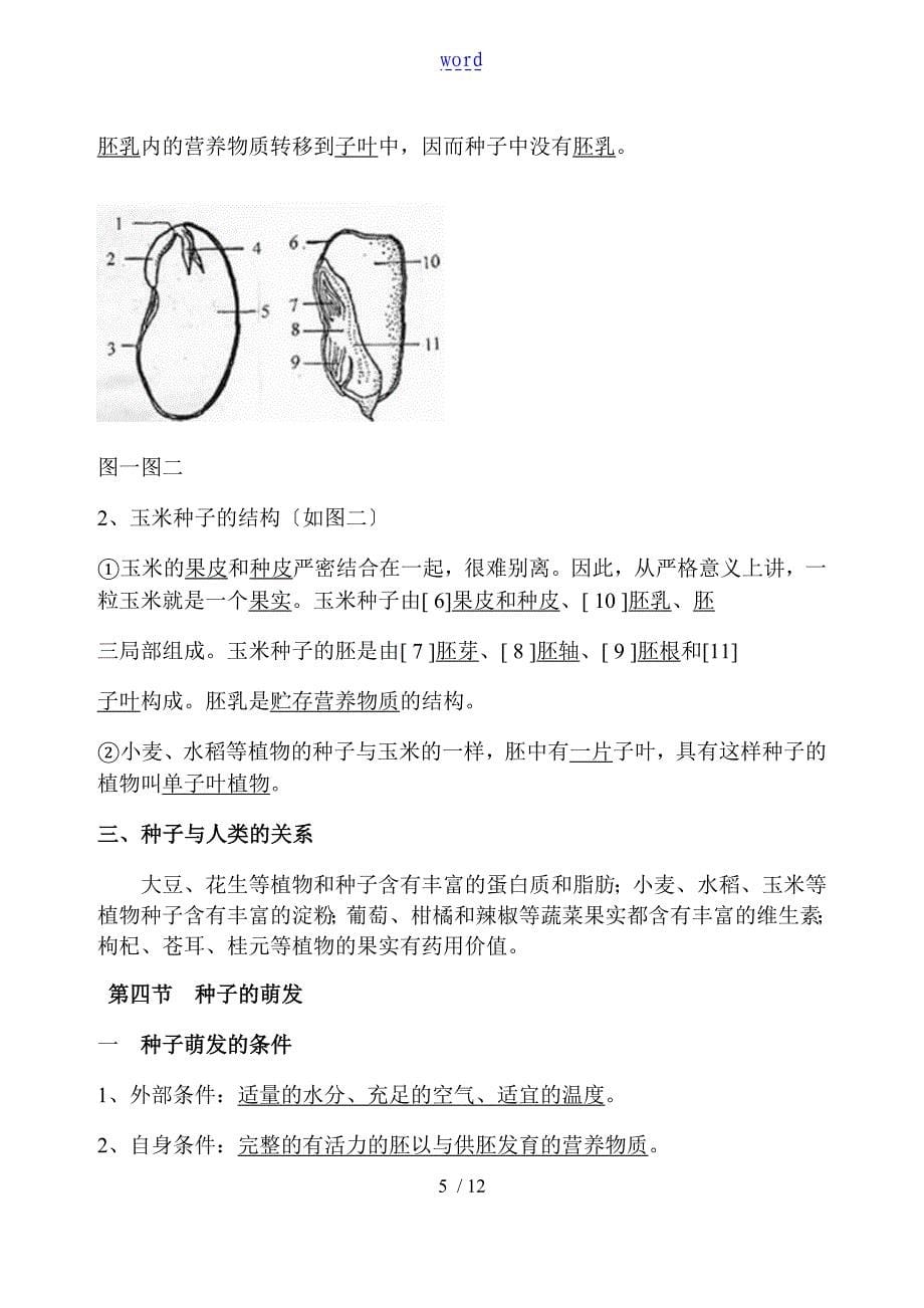 绿色开花植物地一生知识点_第5页