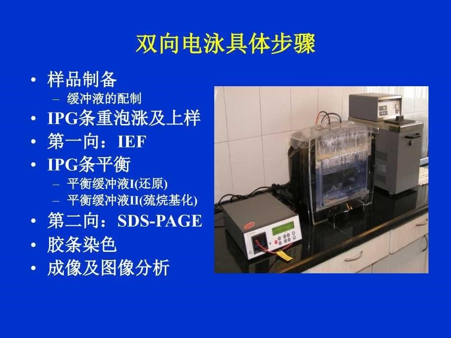 蛋白质双向电泳及质谱技术_第5页