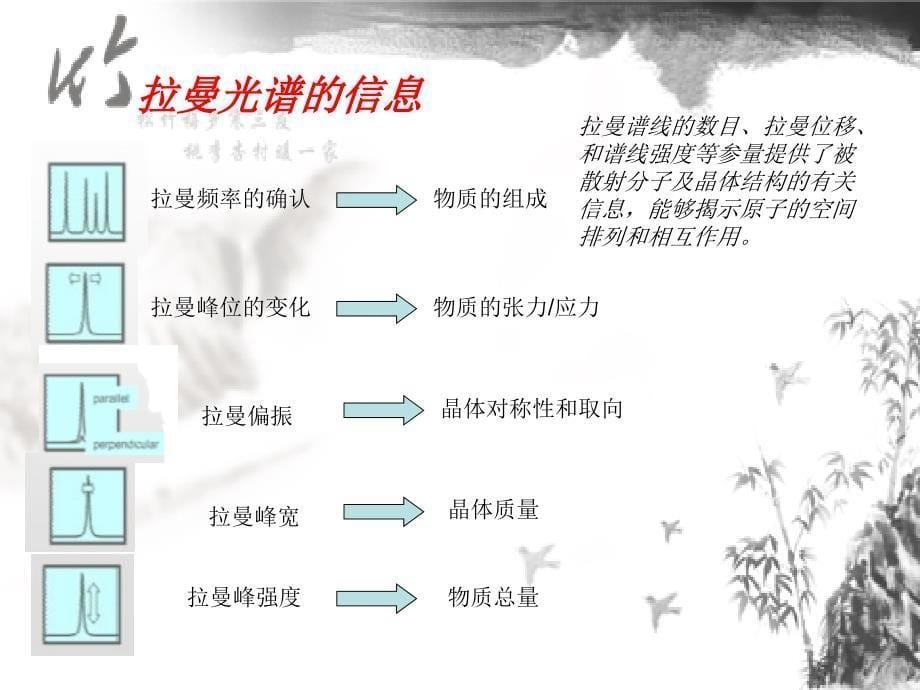 表面增强拉曼孙健刚.ppt_第5页