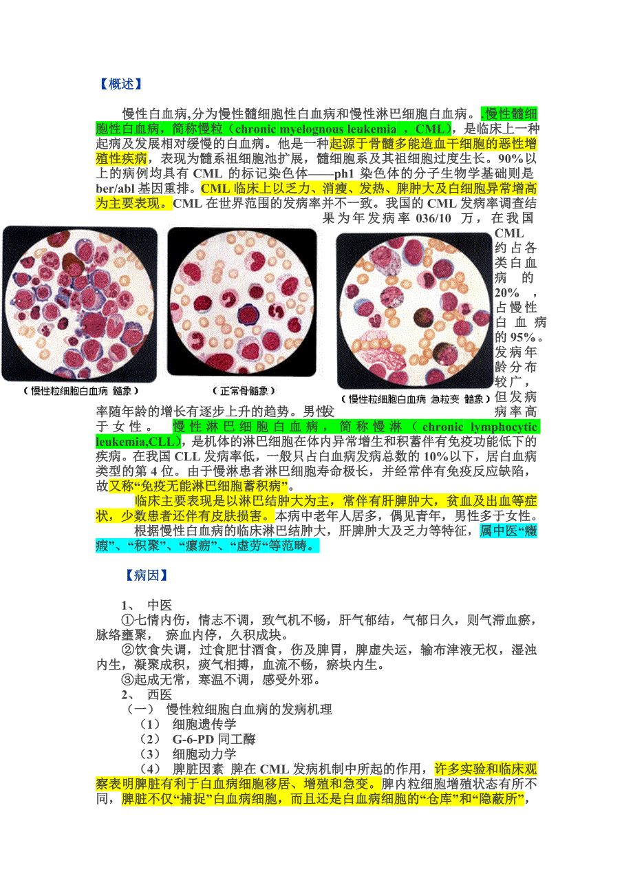 慢性粒细胞白血病_第3页