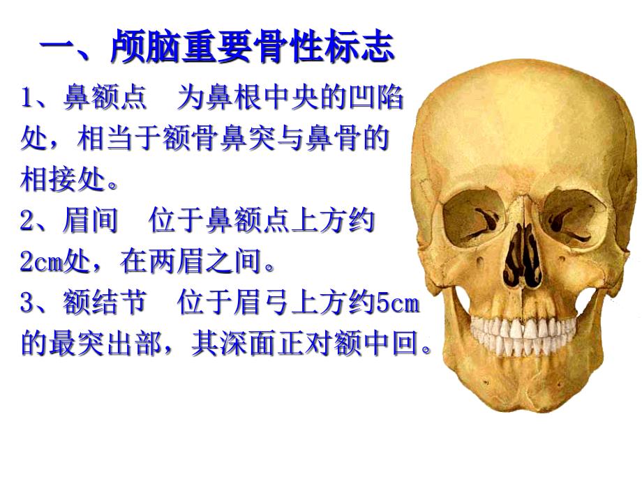 神经外科手术入路设计版课件_第3页