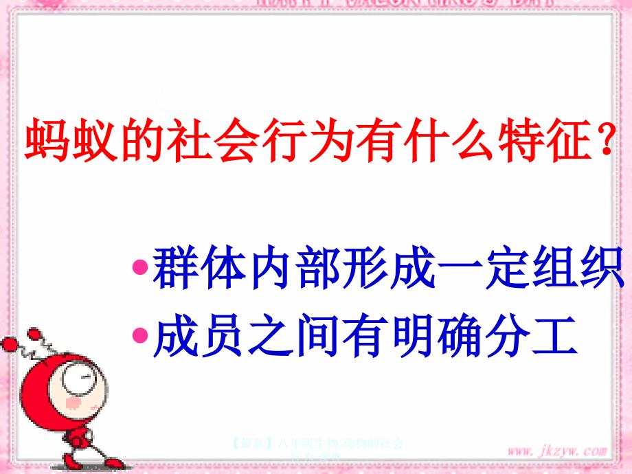 最新八年级生物动物的社会行为课件_第4页