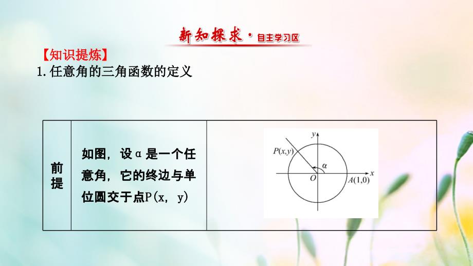 高中数学 第一章 三角函数 1.2.1 任意角的三角函数（1）2 新人教A版必修4_第2页