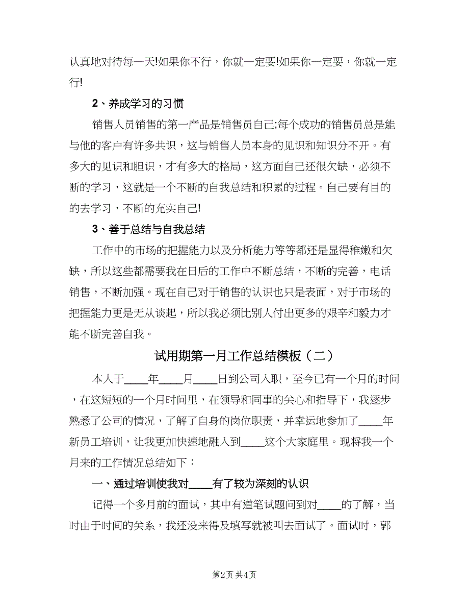 试用期第一月工作总结模板（二篇）.doc_第2页