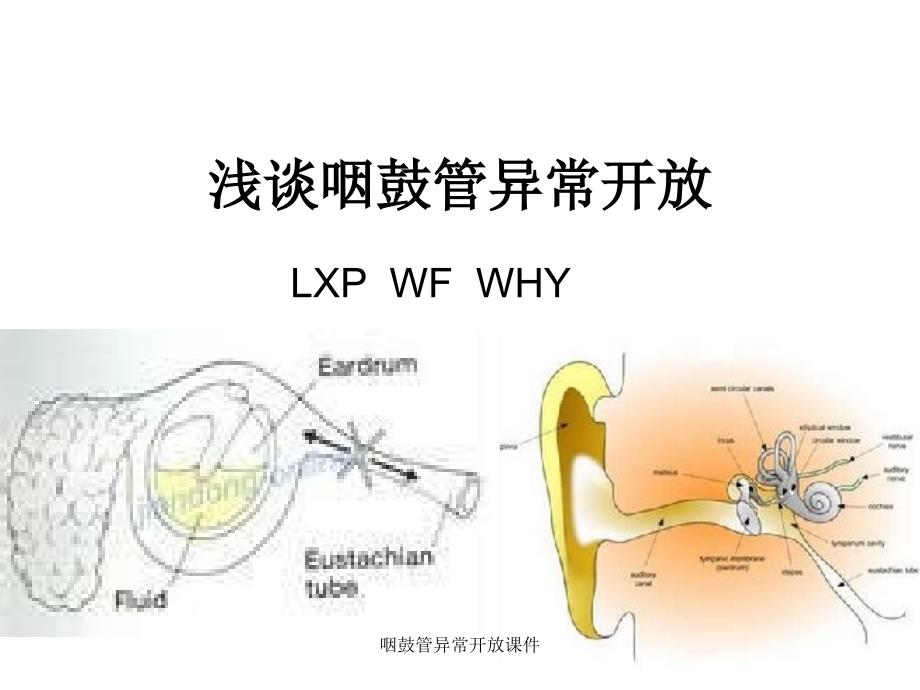 咽鼓管异常开放课件_第1页