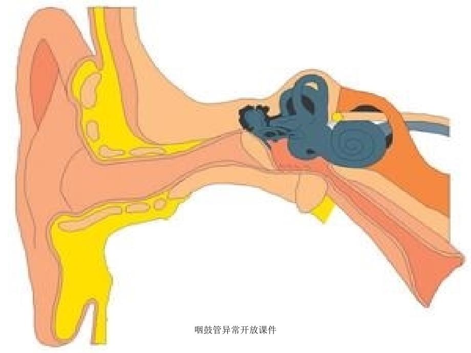 咽鼓管异常开放课件_第3页