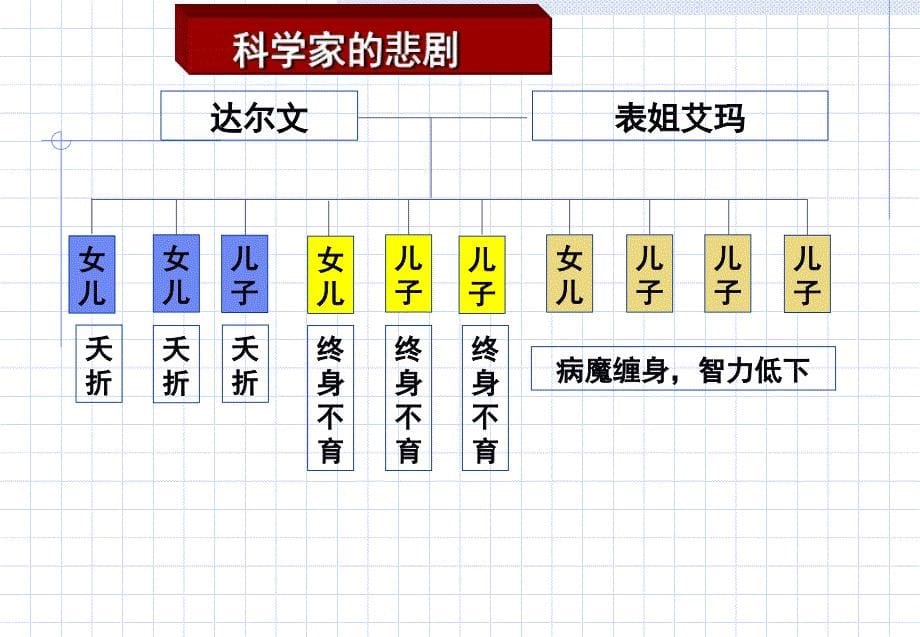 人类遗传病课件(优质课)_第5页