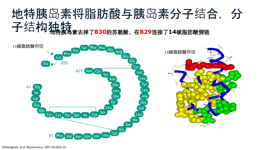 地特胰岛素关键信息解读ppt课件_第2页