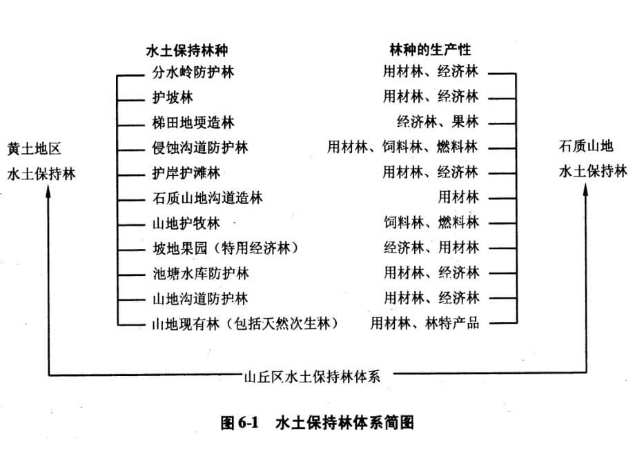 6水土保持生物措施_第5页