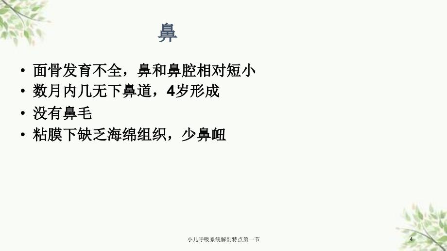 小儿呼吸系统解剖特点第一节课件_第4页