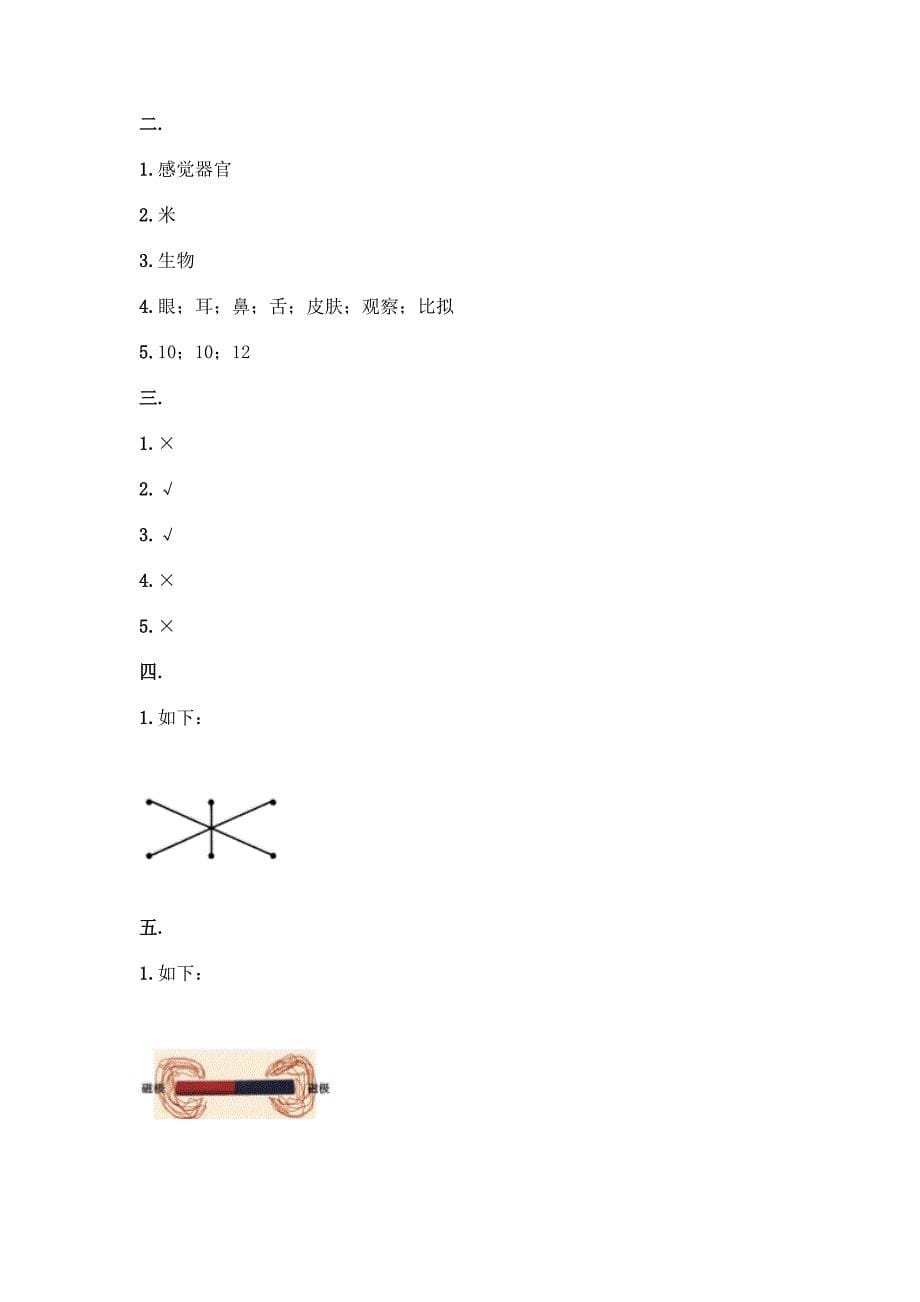 二年级下册科学期末测试卷含答案【实用】.docx_第5页