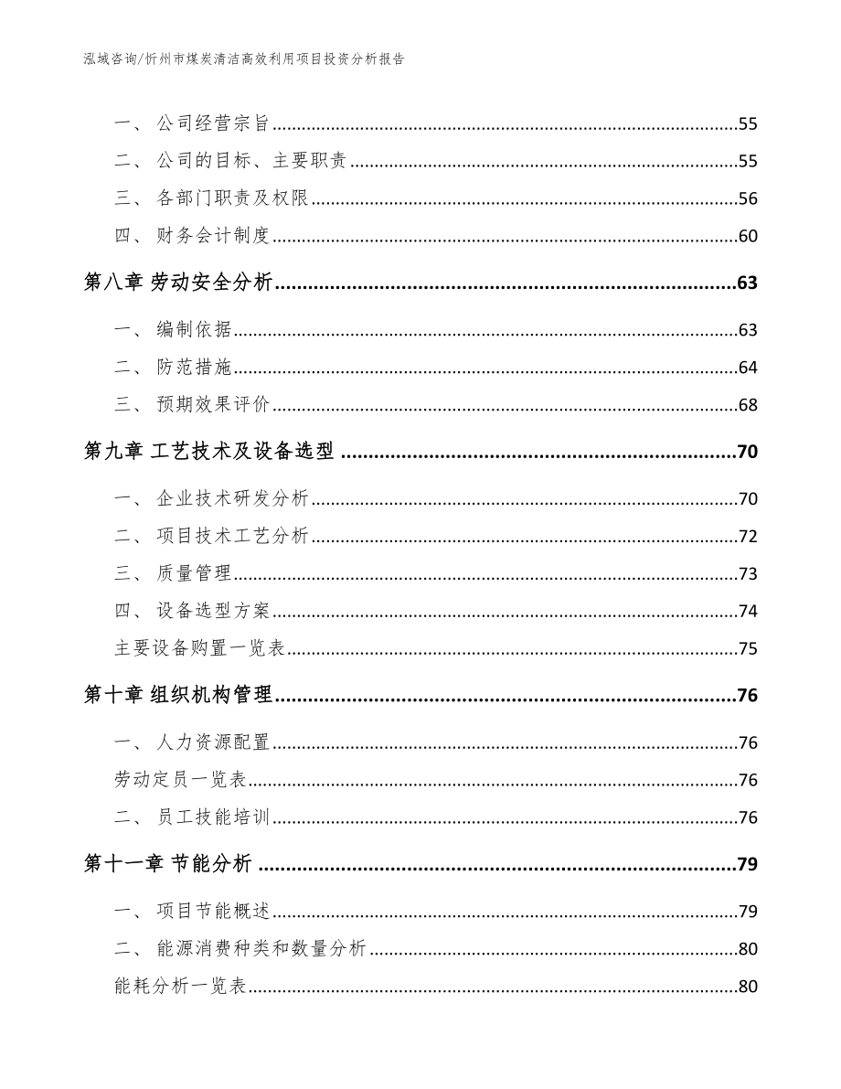 忻州市煤炭清洁高效利用项目投资分析报告_模板参考_第3页