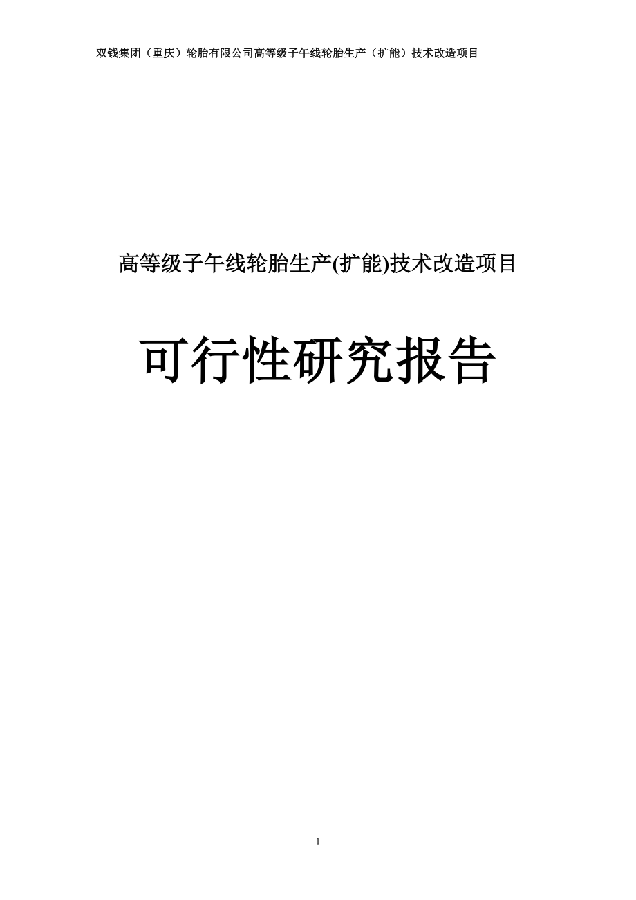 高等级子午线轮胎生产扩能技术改造项目谋划报告书.doc_第1页