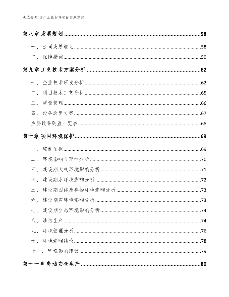 达州正极材料项目实施方案（模板范本）_第4页