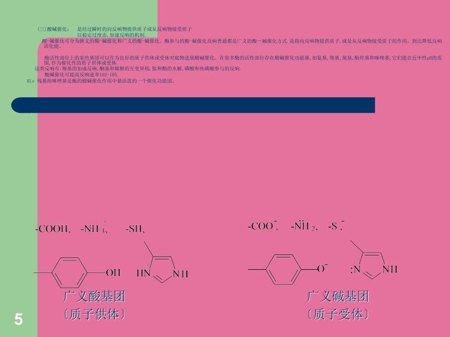 第七章酶的作用机制和酶的调节ppt课件_第5页