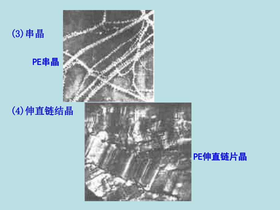 材料课件第三章电镜的基本原理4电镜的应用_第3页