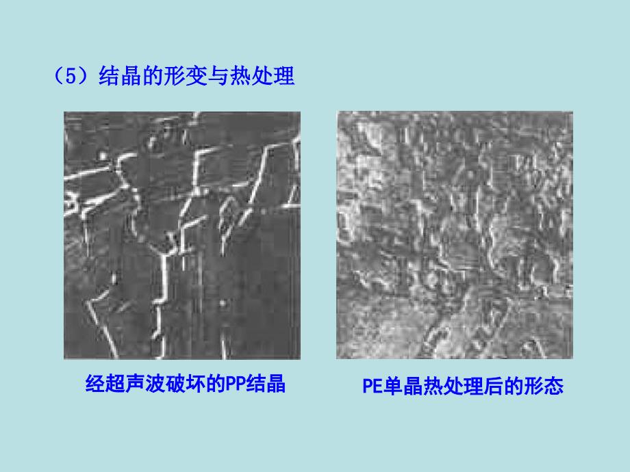 材料课件第三章电镜的基本原理4电镜的应用_第4页