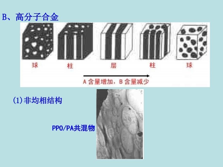 材料课件第三章电镜的基本原理4电镜的应用_第5页