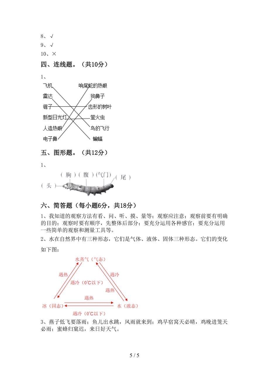 新人教版三年级科学下册期中试卷及答案【一套】.doc_第5页