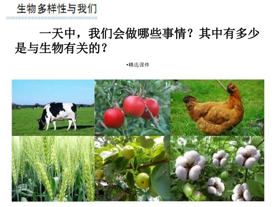 生物多样性的意义课件_第3页