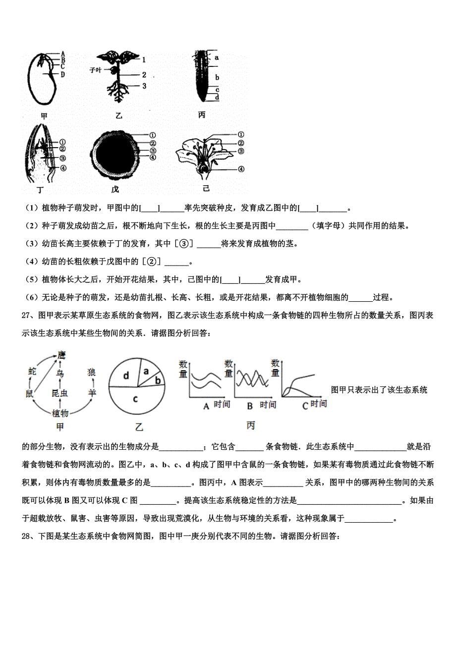 江苏省南京师范大附属中学2023年中考生物模拟试题含解析.doc_第5页