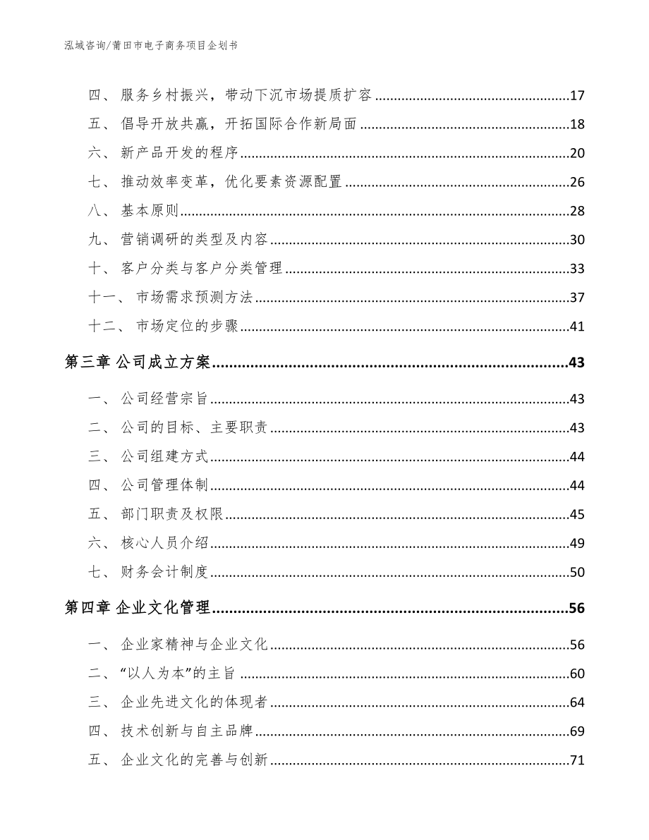 莆田市电子商务项目企划书_第4页