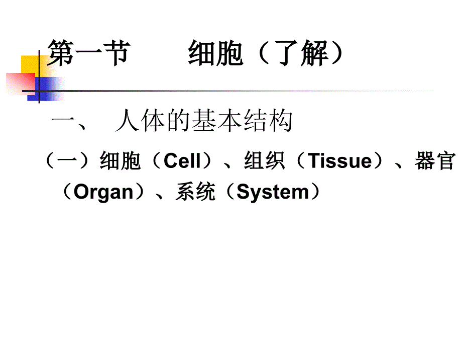 中医药大学人体解剖生理学课C整理第二章人体的基本组成_第2页