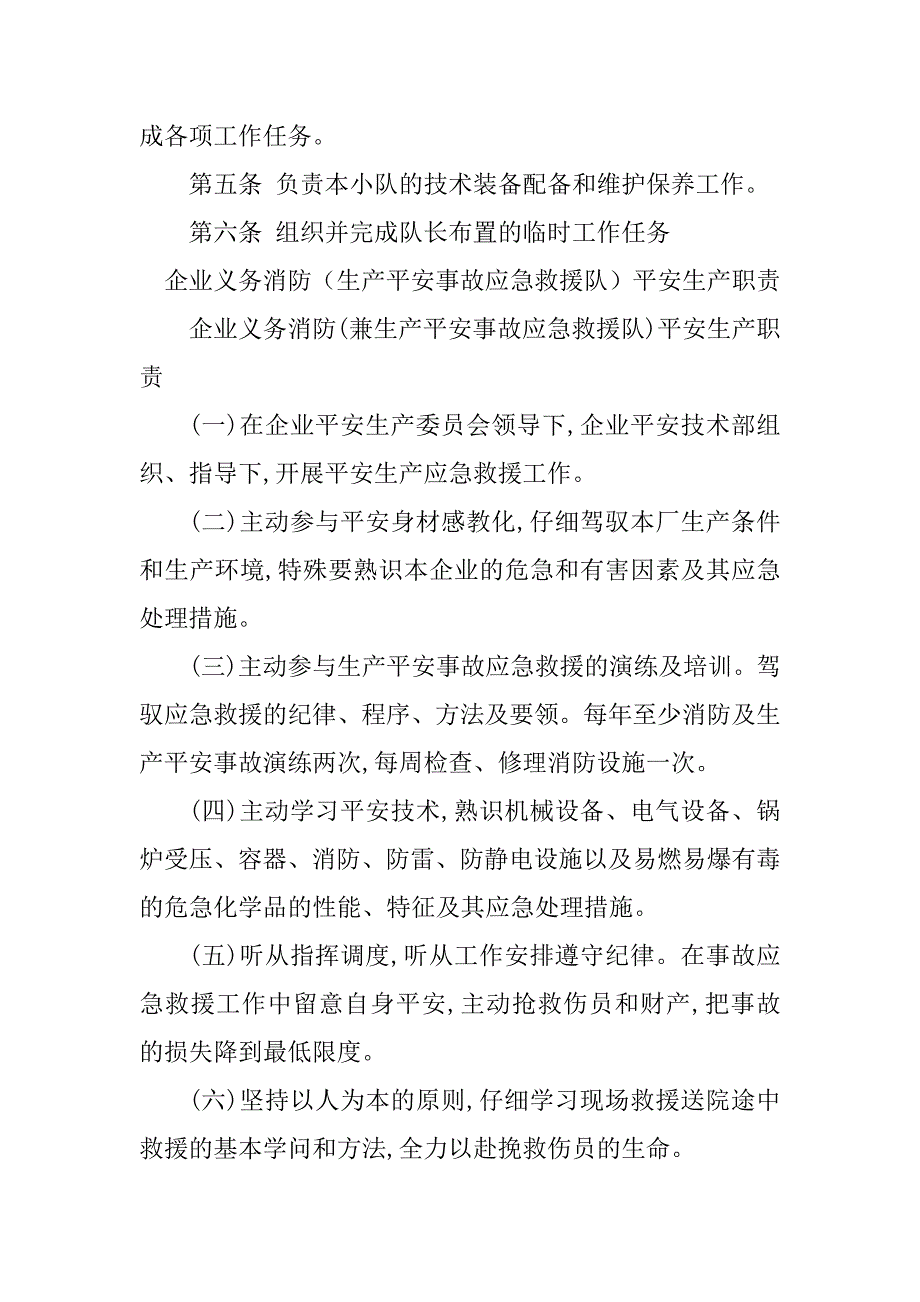 2023年应急救援队安全生产7篇_第2页