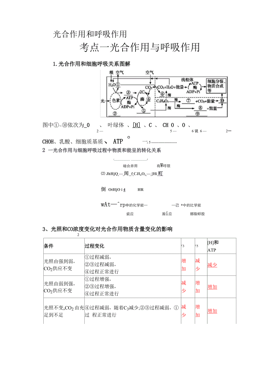 光合作用知识点_第1页