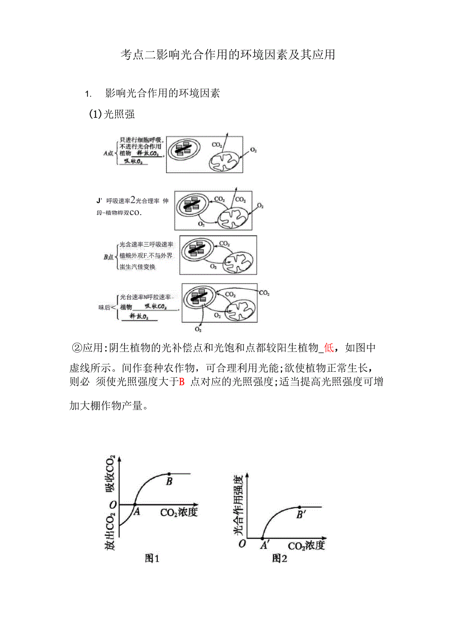 光合作用知识点_第3页