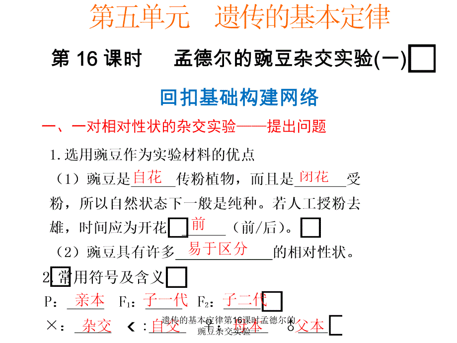 遗传的基本定律第16课时孟德尔的豌豆杂交实验一课件_第1页