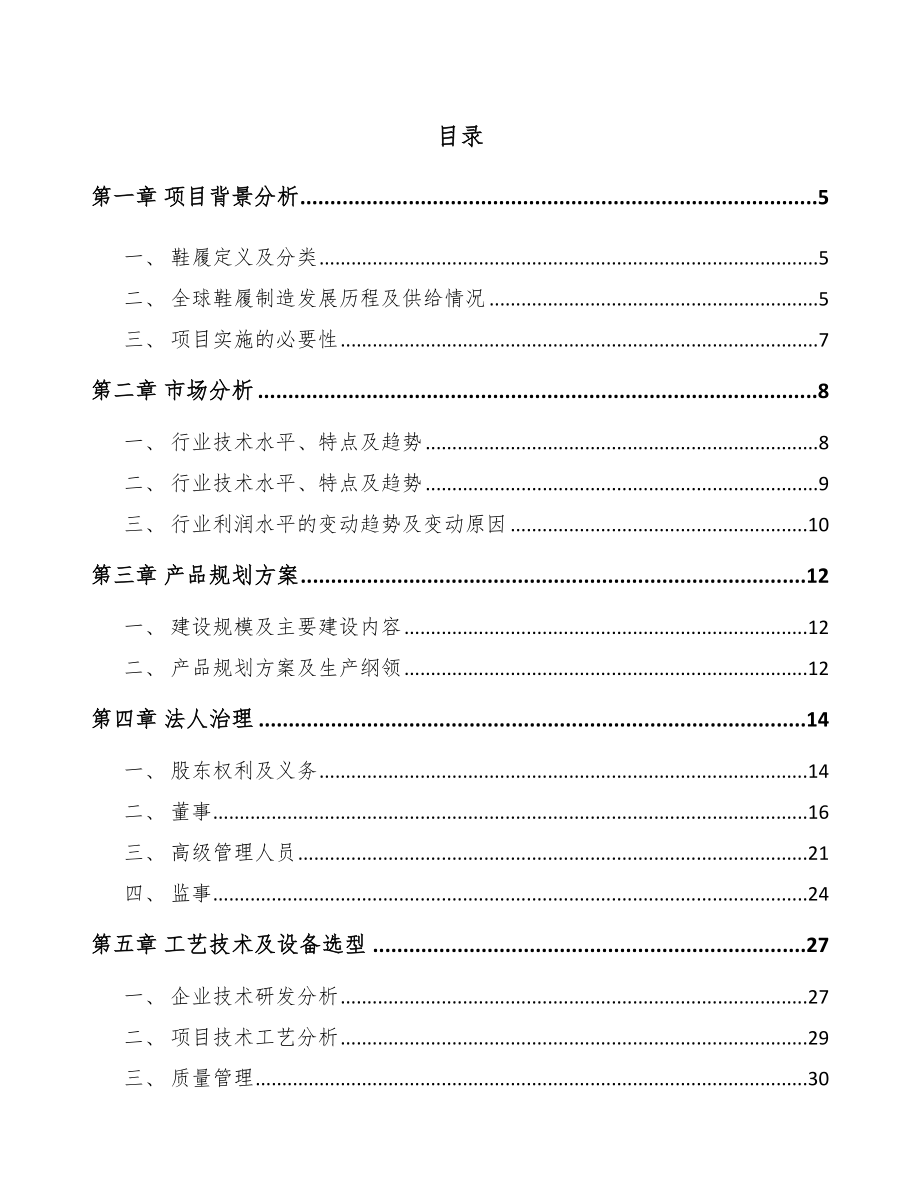 成都鞋履项目可行性研究报告_第2页