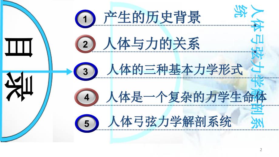 人体弓弦力学系统医学课件_第2页