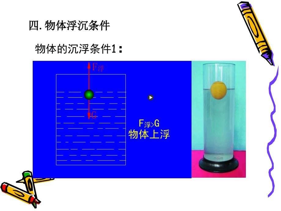 水的浮力3物体的浮沉条件_第5页