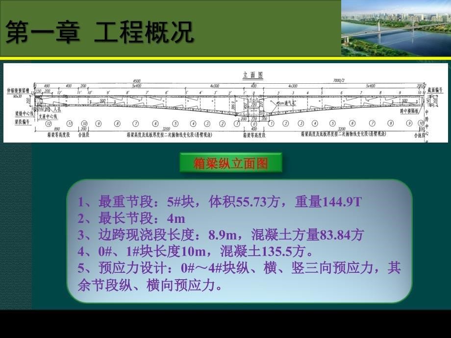 公路大桥悬臂现浇箱梁施工方案讲义_第5页