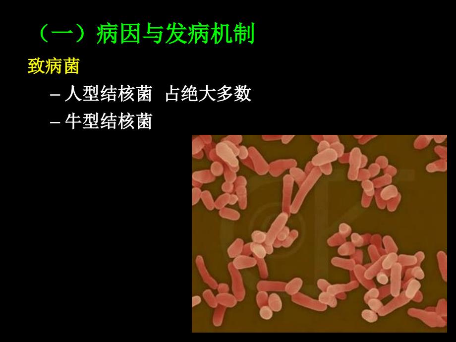 肠结核及结核性腹膜炎病人的护理_第3页