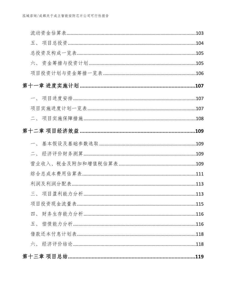 成都关于成立智能安防芯片公司可行性报告_第5页