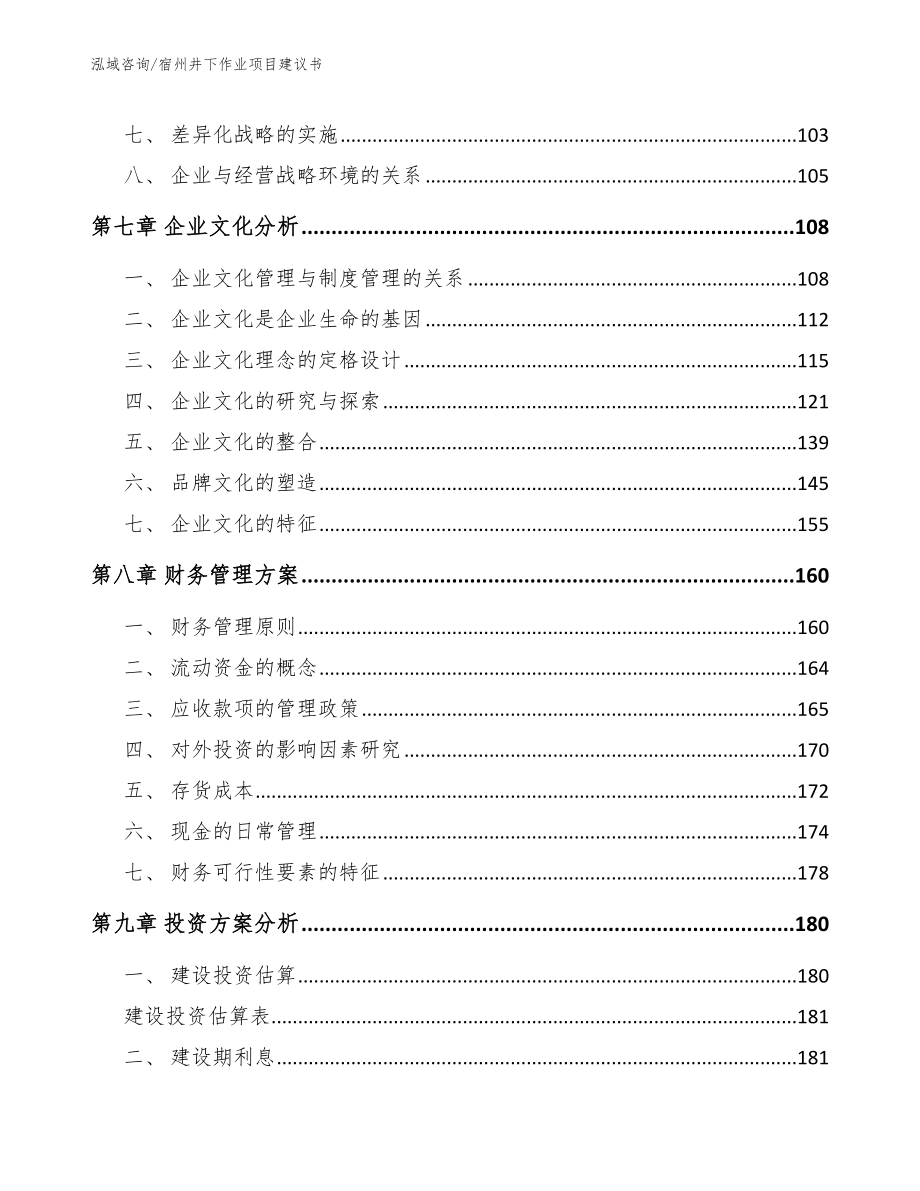 宿州井下作业项目建议书（模板参考）_第3页