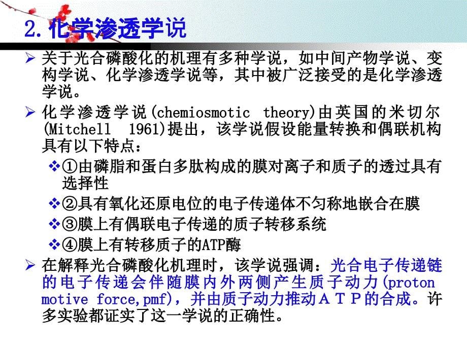 2012年生物化学考前辅导班PPT.ppt_第5页