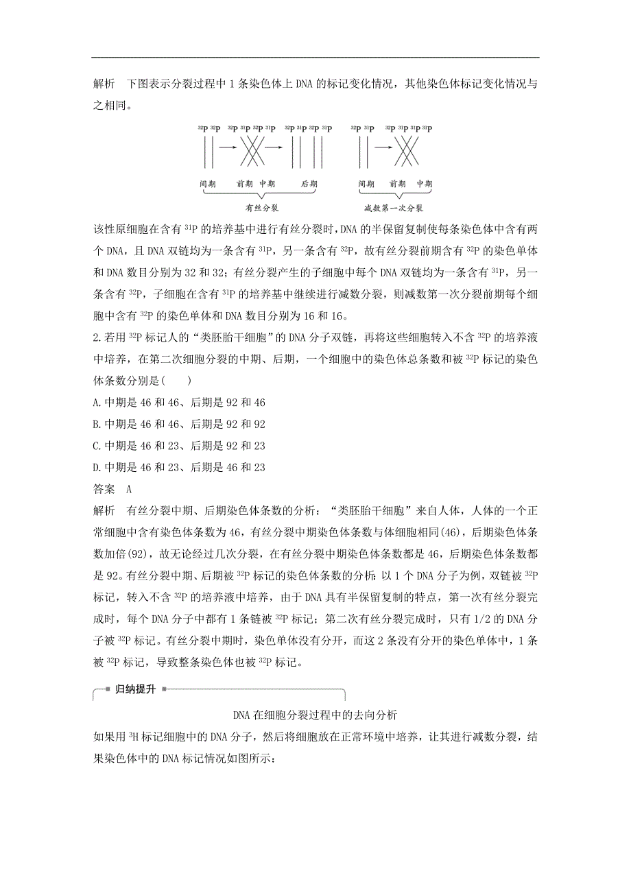 浙江选考版高考生物一轮总复习第三单元细胞的生命历程热点题型突破二细胞分裂与遗传变异的关系学案61_第2页