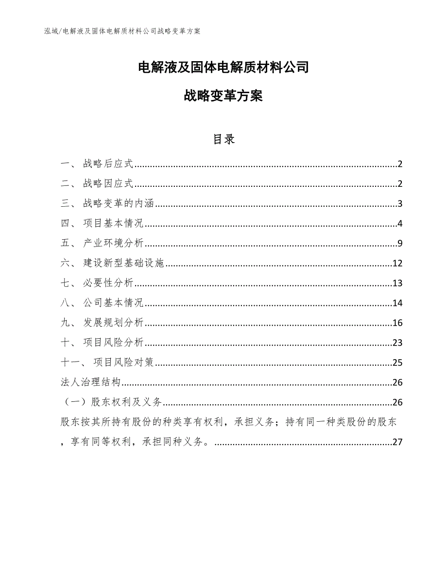 电解液及固体电解质材料公司战略变革方案（范文）_第1页