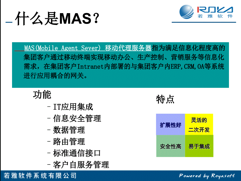 若雅MAS知识介绍_第3页