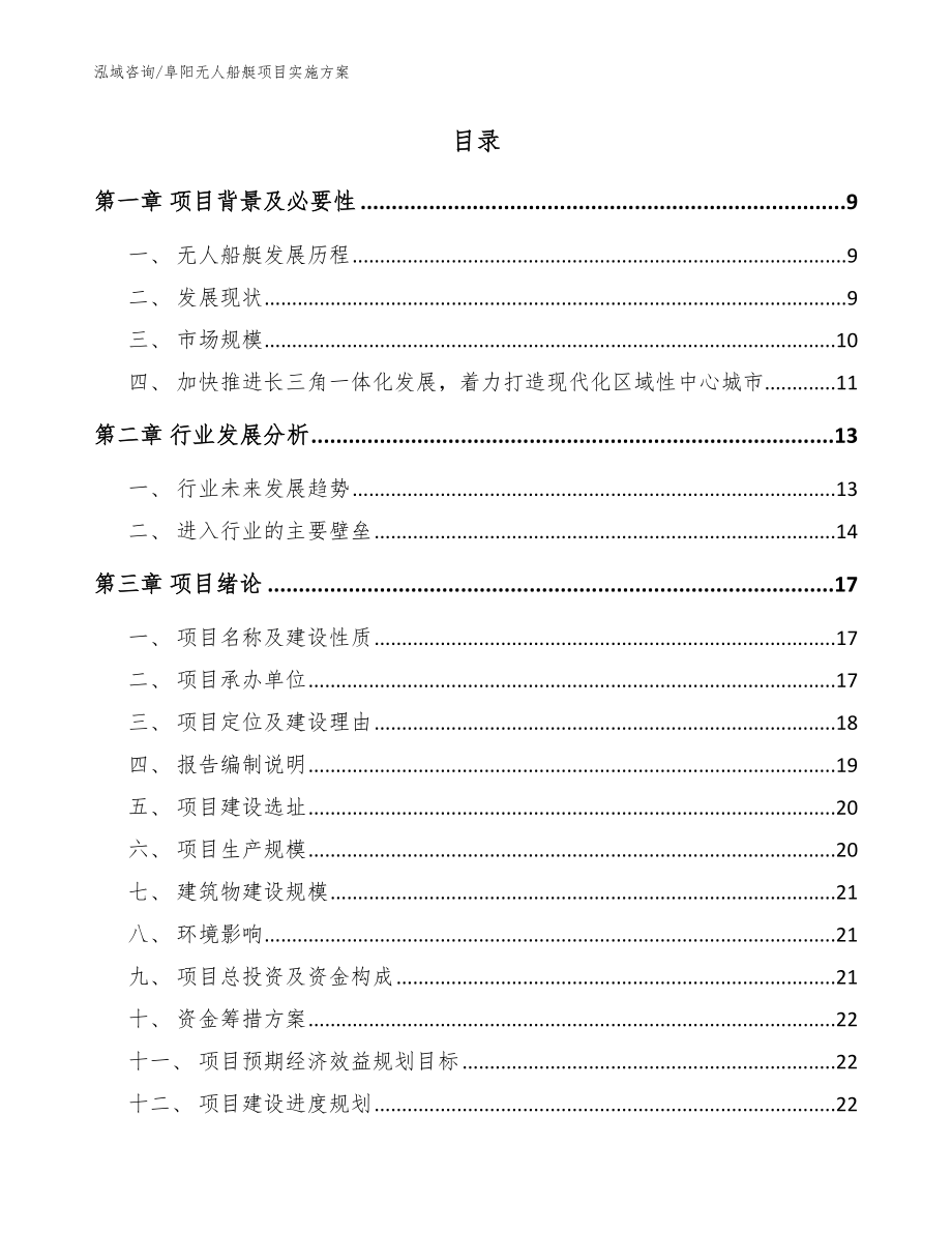 阜阳无人船艇项目实施方案模板范本_第2页