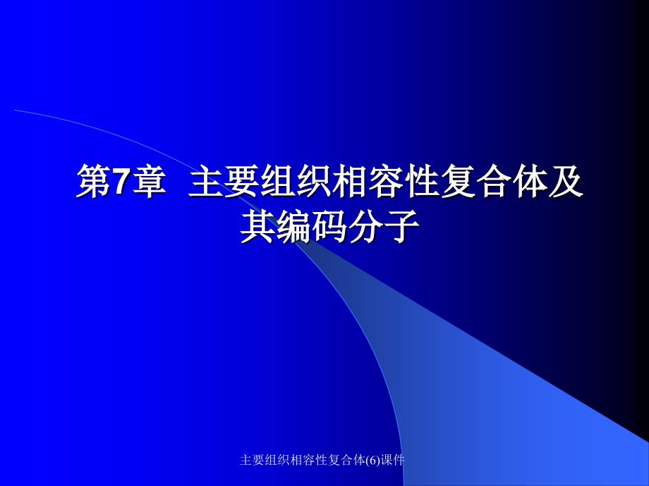 主要组织相容性复合体6课件_第1页