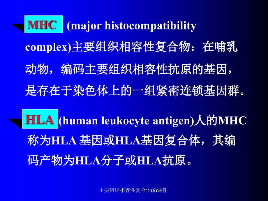 主要组织相容性复合体6课件_第3页
