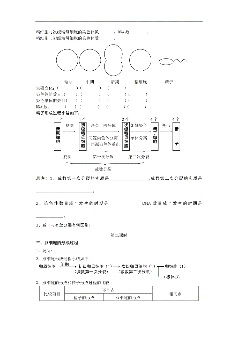 新人教版高中生物必修2第1节《减数分裂和受精作用》word学案_第3页