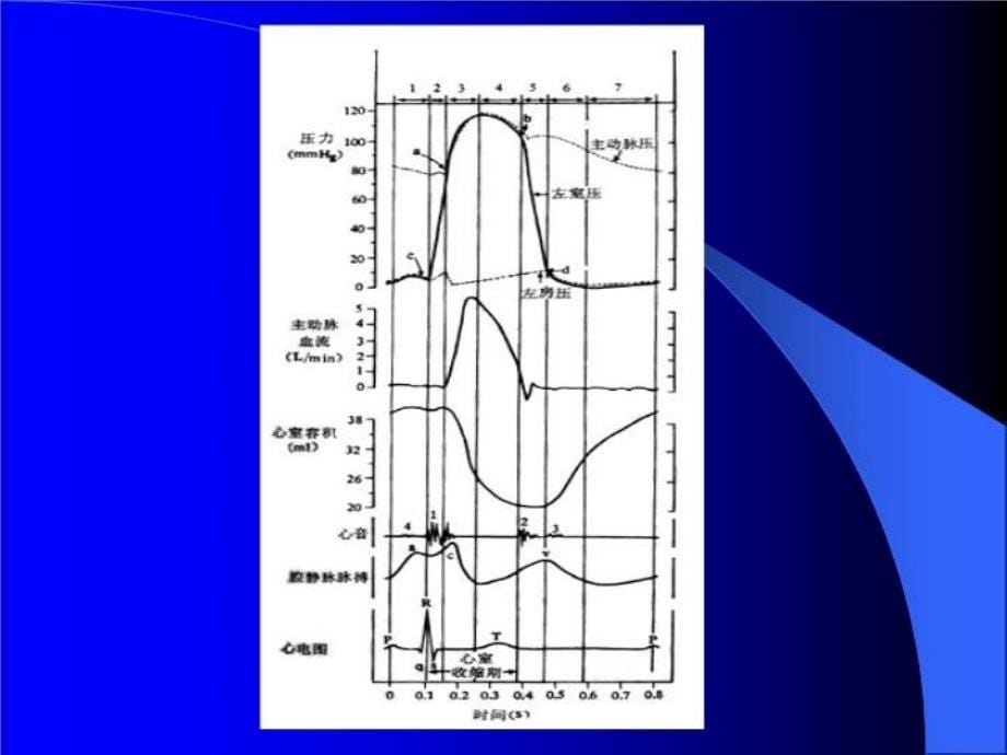 最新心脏泵血3PPT课件_第5页