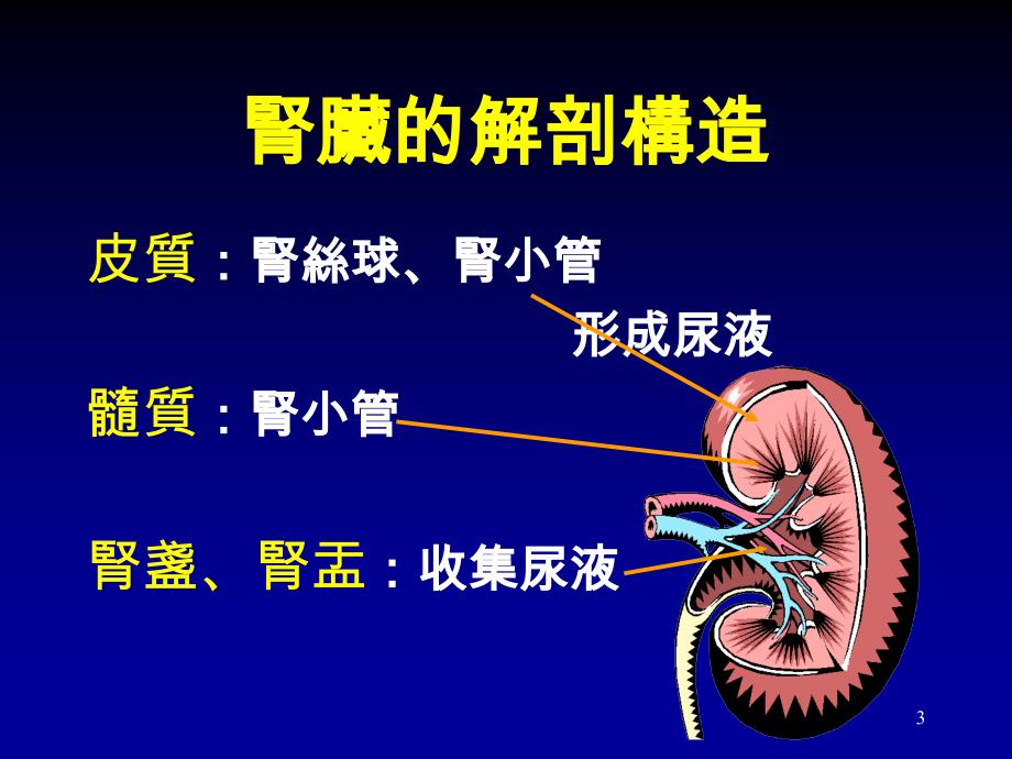 蛋白尿台大医院_第3页