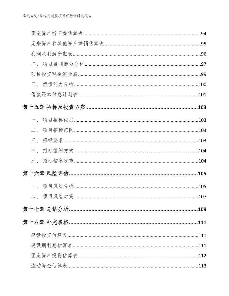 蚌埠光刻胶项目可行性研究报告_模板范文_第5页
