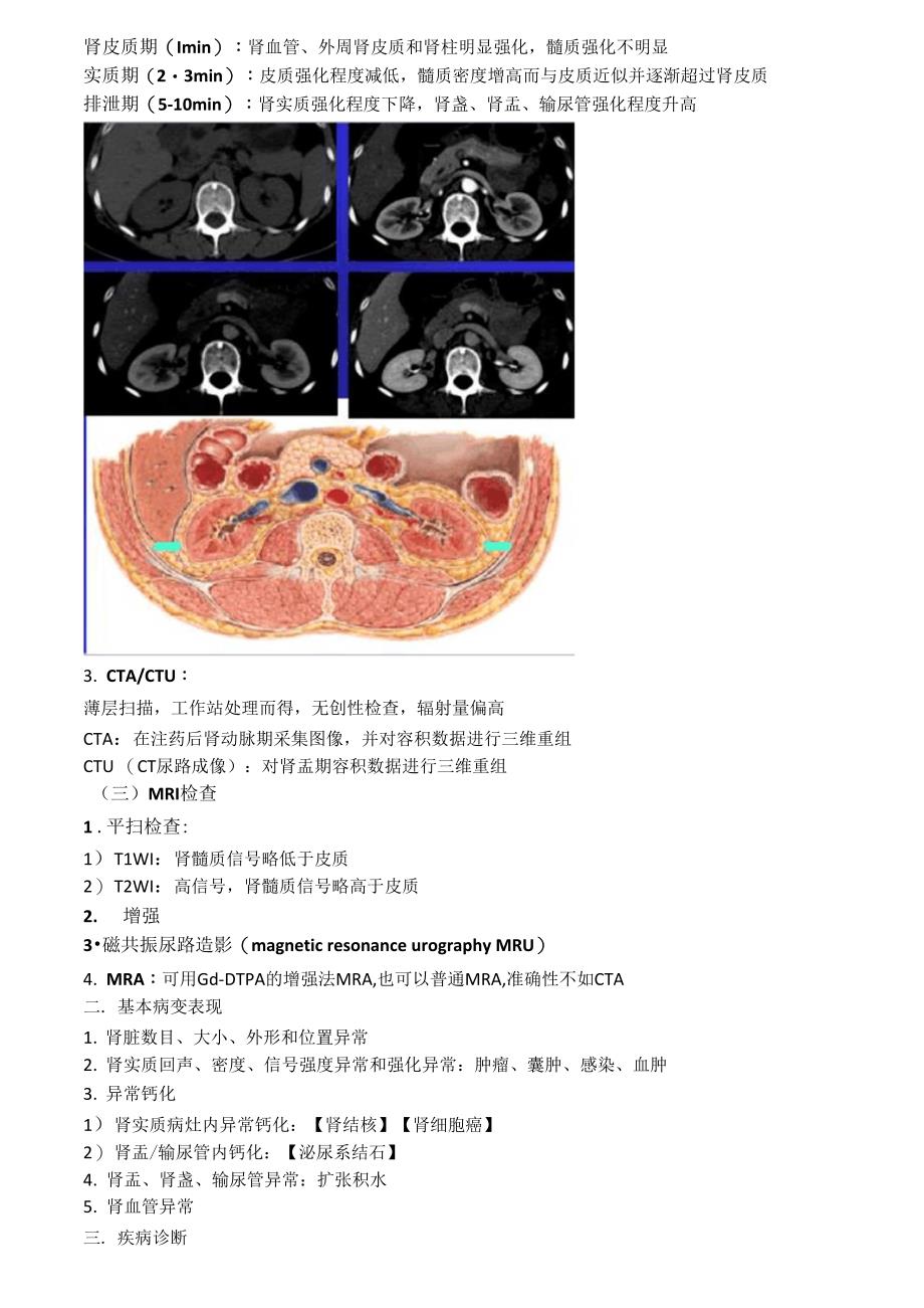 泌尿生殖系统和腹膜后间隙_第2页